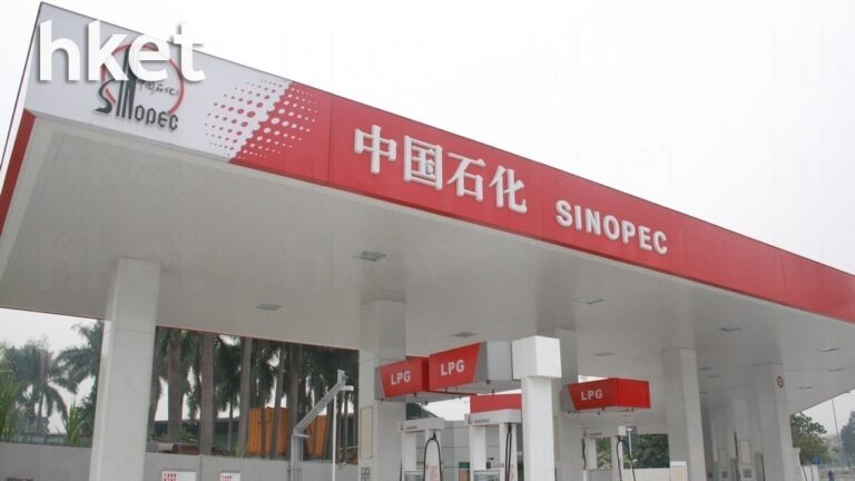 386業績｜中石化上半年多賺2.6%　中期息0.146元人民幣　現價股息率7.4% - 香港經濟日報 - 即時新聞頻道 - 即市財經 - shareandstocks.com